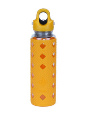 Revomax Borosilicate Glass Bottle, 473ml / 16oz - Revomax Online
